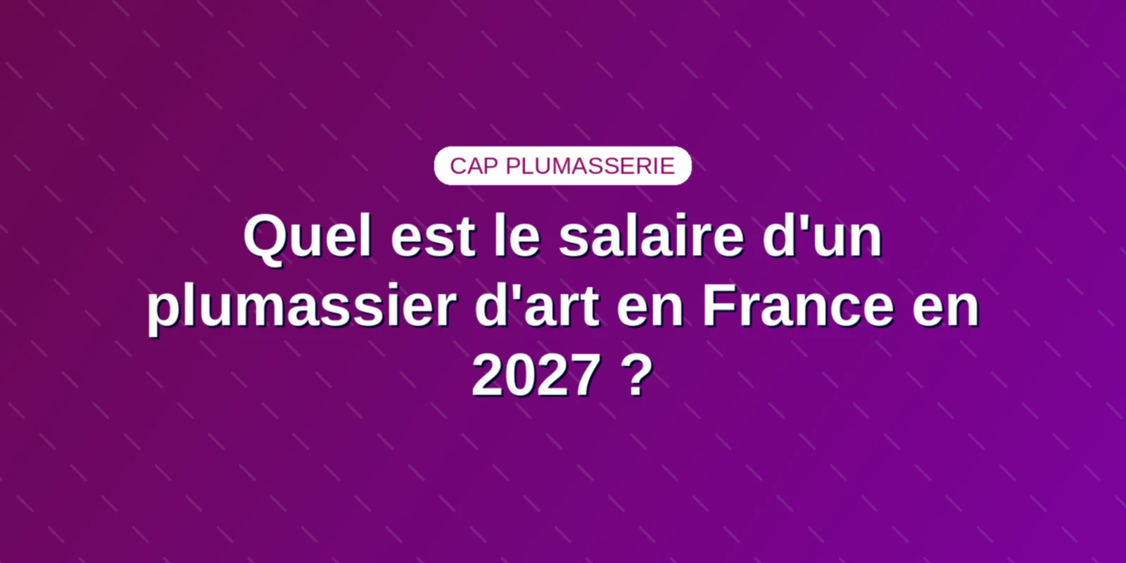 Quel est le salaire d'un plumassier d'art en France en 2027 ?