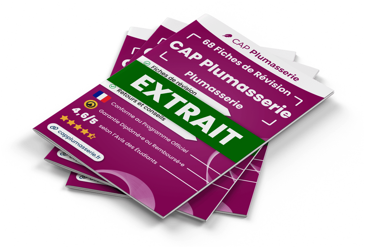 Extrait Fiches Révision gratuites CAP Plumasserie