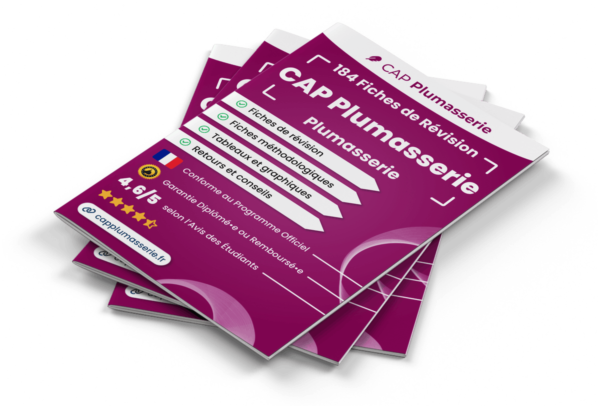 Image produit fiches-de-revision
